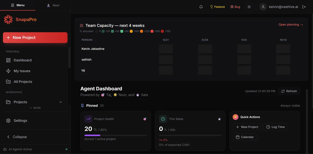 SnapaPro agent dashboard showing team capacity and project health