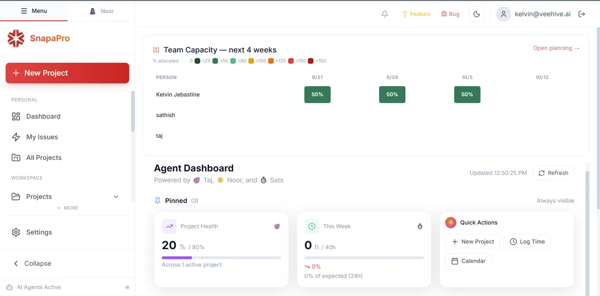 SnapaPro agent dashboard showing team capacity and project health